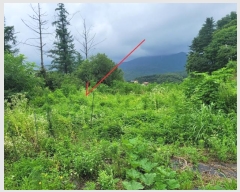  2024Ÿ3524  ֽ  и 32-15      (Ӿ)