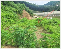  2024Ÿ3524  ֽ  и 32-15      (Ӿ)