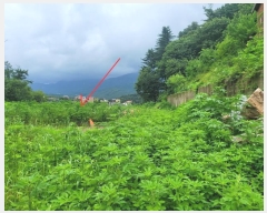  2024Ÿ3524  ֽ  и 32-15      (Ӿ)