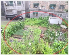  2024Ÿ��3661 ��� �����ֽ� ȭ���� ������ 217-17      ����(��)���