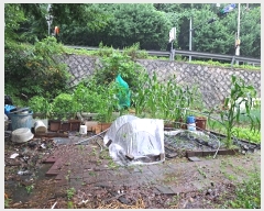  2024Ÿ��3661 ��� �����ֽ� ȭ���� ������ 217-17      ����(��)���