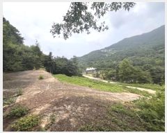  2024Ÿ��3722 ��� ���� ��� ������ ��74-45      ����(�Ӿ�)���