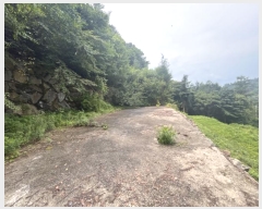  2024Ÿ��3722 ��� ���� ��� ������ ��74-45      ����(�Ӿ�)���