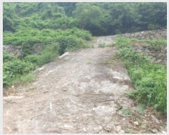  2024Ÿ��3722 ��� ���� ��� ������ ��74-45      ����(�Ӿ�)���