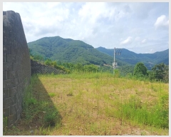  2024Ÿ3951   Ǹ ȸ 12-10      (Ӿ)