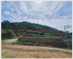  2024Ÿ3951   Ǹ ȸ 12-10      (Ӿ)