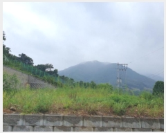  2024Ÿ3951   Ǹ ȸ 12-10      (Ӿ)