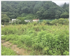  2024Ÿ4138    ιи 7-9      (1)