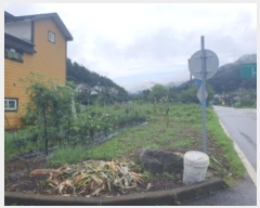  2024Ÿ4138    ιи 7-9      (1)