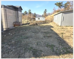  2024Ÿ��5384  â���������