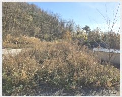  2024Ÿ��5384  â���������