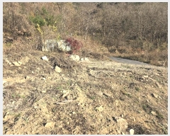  2024Ÿ��5384  â���������