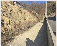  2024Ÿ��5384  â���������