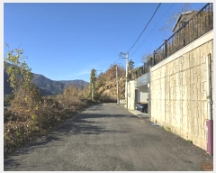  2024Ÿ��5384  â���������