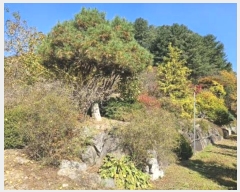  2024Ÿ5513   Ǹ  93      ð