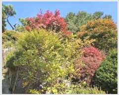  2024Ÿ5513   Ǹ  93      ð