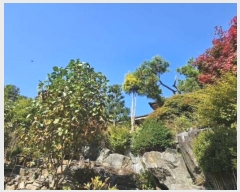  2024Ÿ5513   Ǹ  93      ð