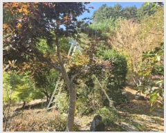  2024Ÿ5513   Ǹ  93      ð