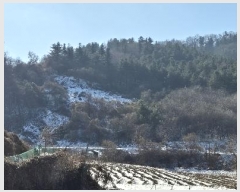  2024Ÿ5902   Ǹ  968-3      ()