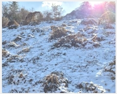  2024Ÿ5902   Ǹ  968-3      ()