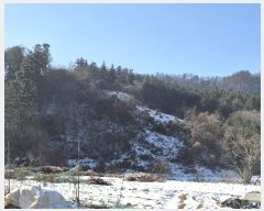  2024Ÿ5902   Ǹ  968-3      ()