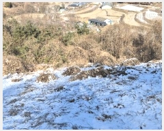  2024Ÿ5902   Ǹ  968-3      ()