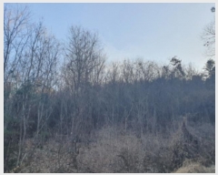  2024Ÿ5902   Ǹ  968-3      ()