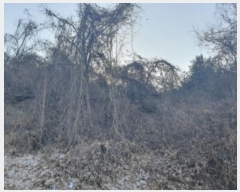  2024Ÿ5902   Ǹ  968-3      ()