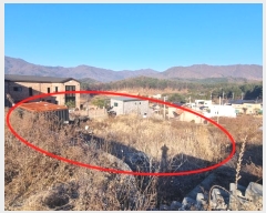  2024Ÿ6110  ֽ  渮 7-3      (Ӿ)