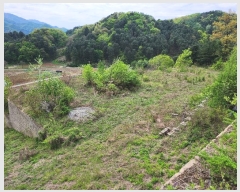  2024Ÿ��75147  �Ӿ߰��