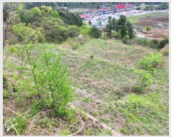  2024Ÿ��75147  �Ӿ߰��