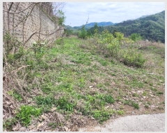  2024Ÿ��75147  �Ӿ߰��