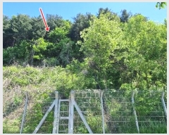  2024Ÿ��75871  �Ӿ߰��