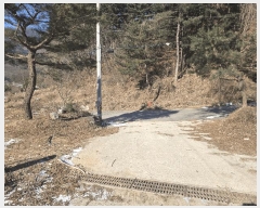  2024Ÿ��76874 ��� ���� û��� ��õ�� 683-2      ����(��1)���