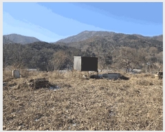  2024Ÿ��76874 ��� ���� û��� ��õ�� 683-2      ����(��1)���