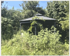  2024Ÿ80347  ֽ  õ 36-16      ()