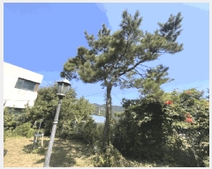  2024Ÿ80347  ֽ  õ 36-16      ()