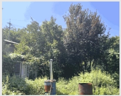  2024Ÿ80347  ֽ  õ 36-16      ()