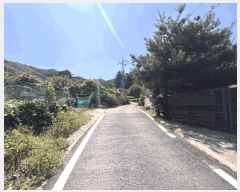  2024Ÿ80347  ֽ  õ 36-16      ()