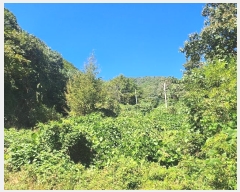  2024Ÿ��82503  �Ӿ߰��