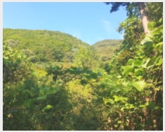  2024Ÿ��82503  �Ӿ߰��