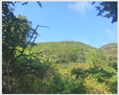  2024Ÿ��82503  �Ӿ߰��