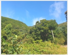  2024Ÿ��82503  �Ӿ߰��