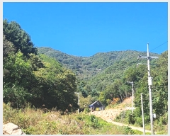  2024Ÿ��82503  �Ӿ߰��