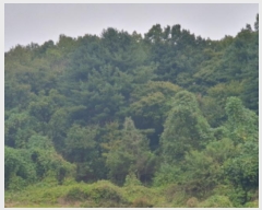  2024Ÿ83148    ׻縮 577-3      (Ӿ)