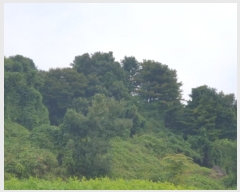  2024Ÿ83148    ׻縮 577-3      (Ӿ)