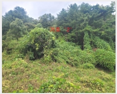  2024Ÿ83148    ׻縮 577-3      (Ӿ)