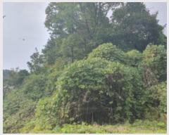  2024Ÿ83148    ׻縮 577-3      (Ӿ)