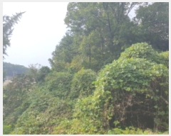  2024Ÿ83148    ׻縮 577-3      (Ӿ)