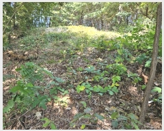  2024Ÿ83537  ֽ  217-3       (Ӿ)